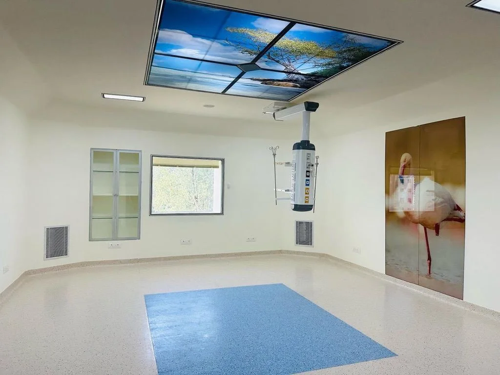 Modular operation theatre with sky ceiling and OT pendant by Gaddiel